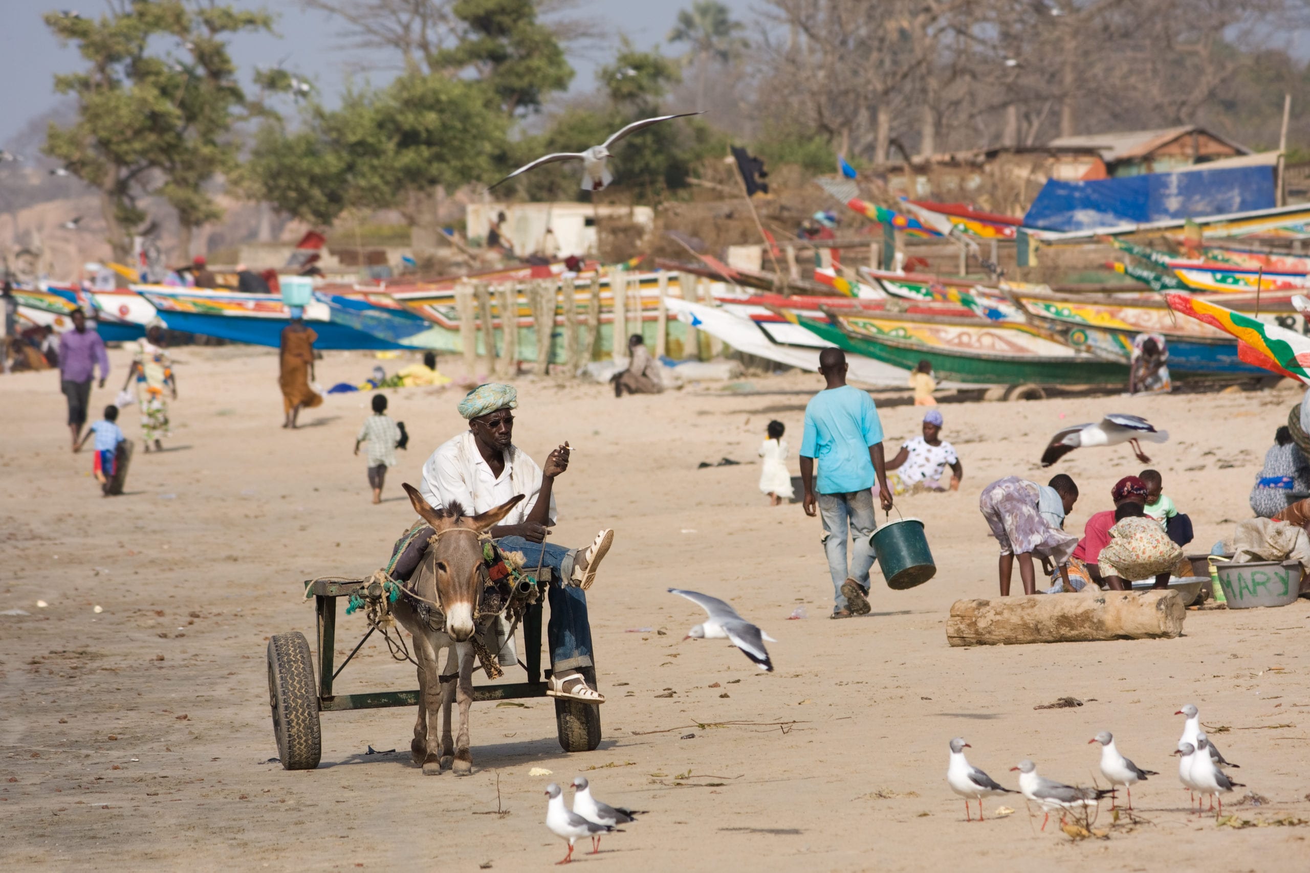 Exploring Africa’s Smallest Gem: The Gambia - Expatriate Healthcare